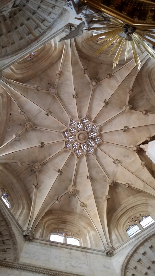 Cathedral gothic gothic architecture
