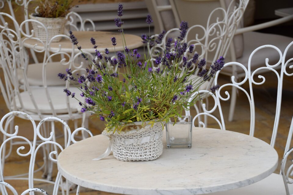 Lavender table italy
