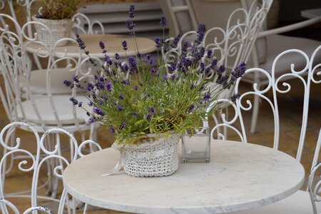 Lavender table italy