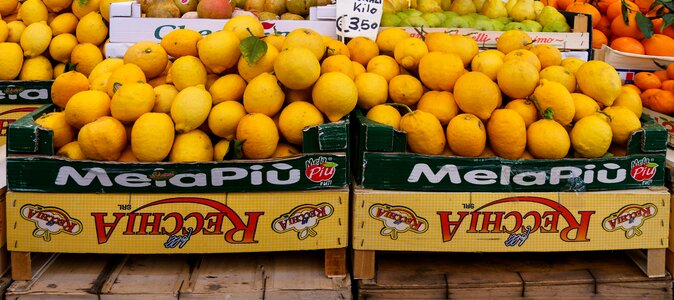 Food citrus fruits healthy