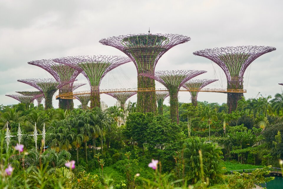 Color image garden trees