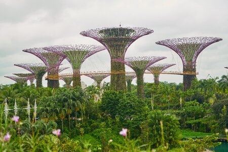 Color image garden trees