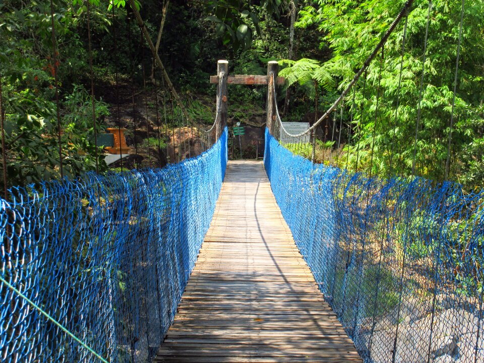 Bridge bridge walk
