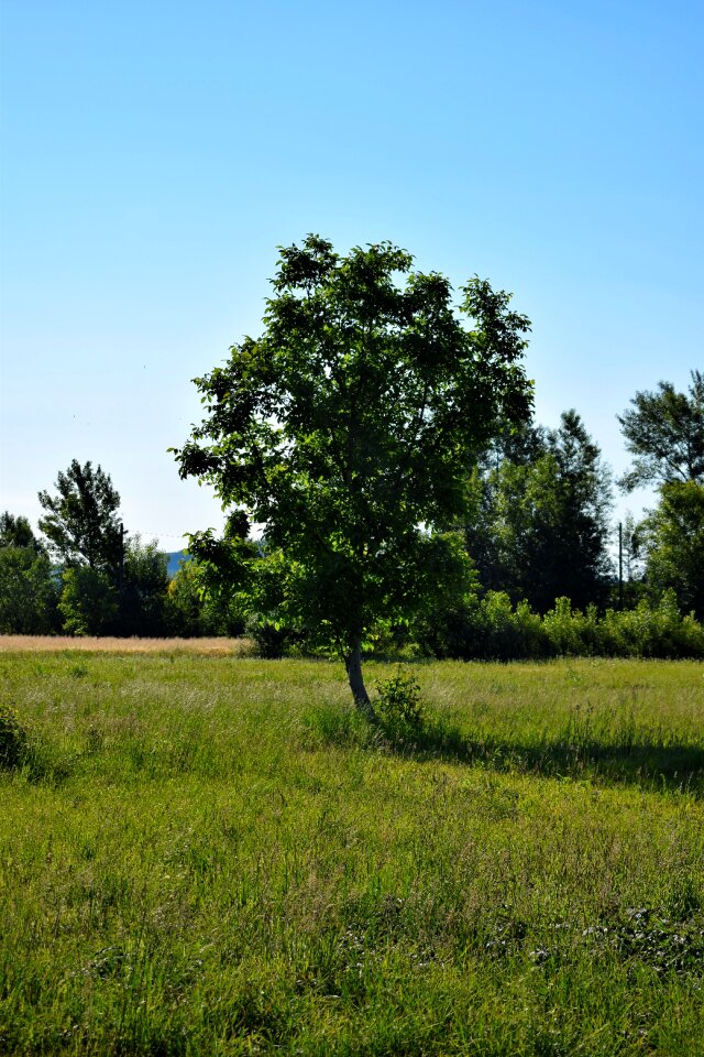 Respect nature landscape