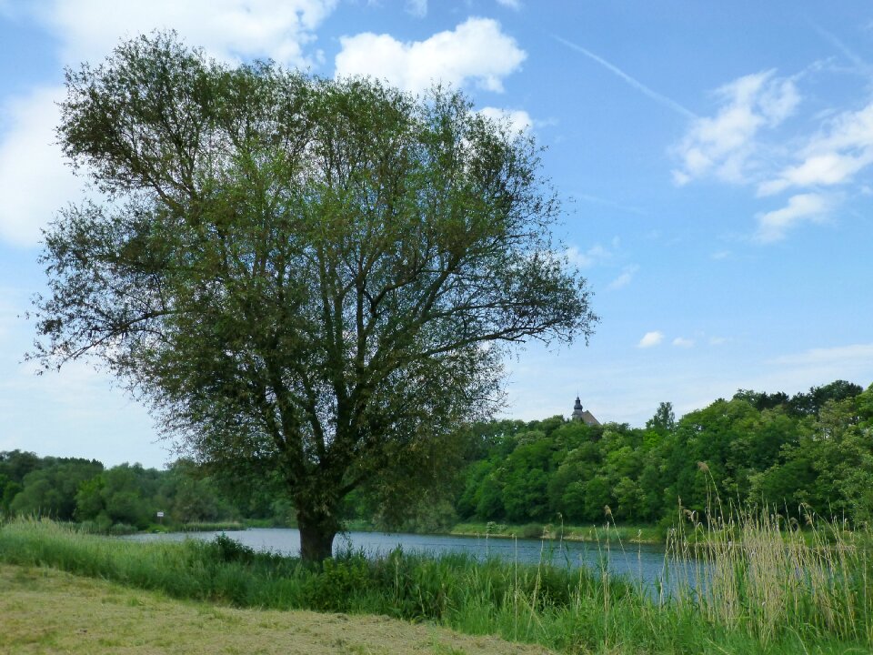 Edge river moselle
