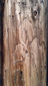 Hardwood timber wooden photo