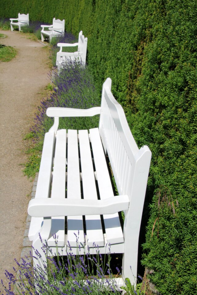 Park bench white seat