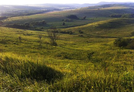 Landscape mice hills