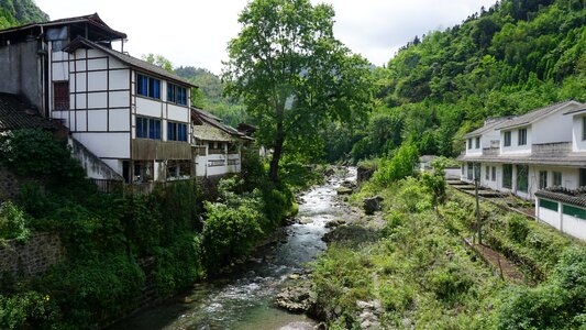 Aoyama green water summer 1 photo