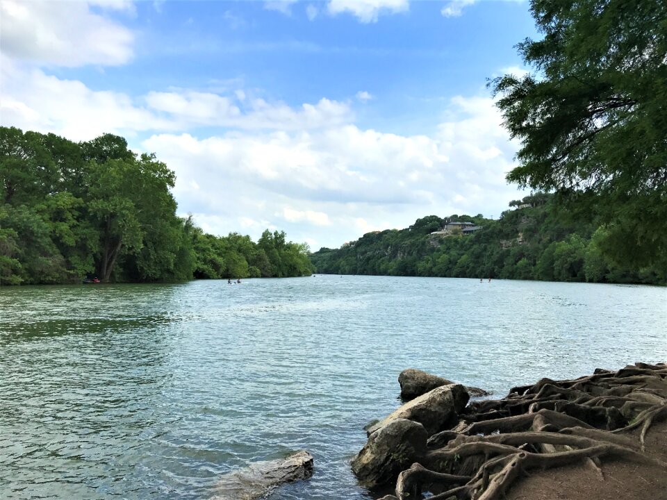 Island shore texas