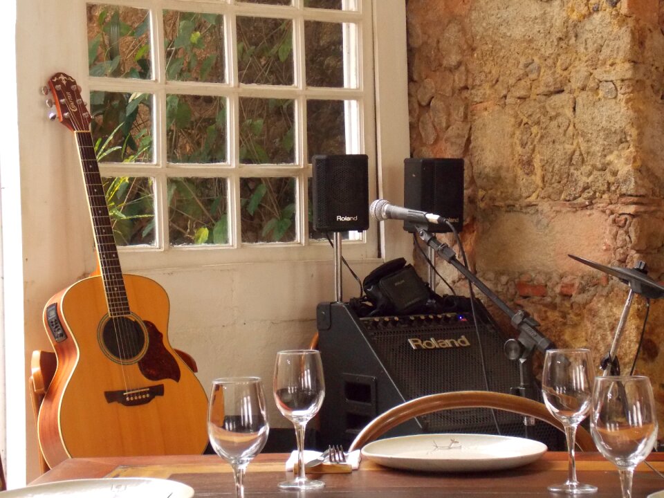 Artist microphone instrument