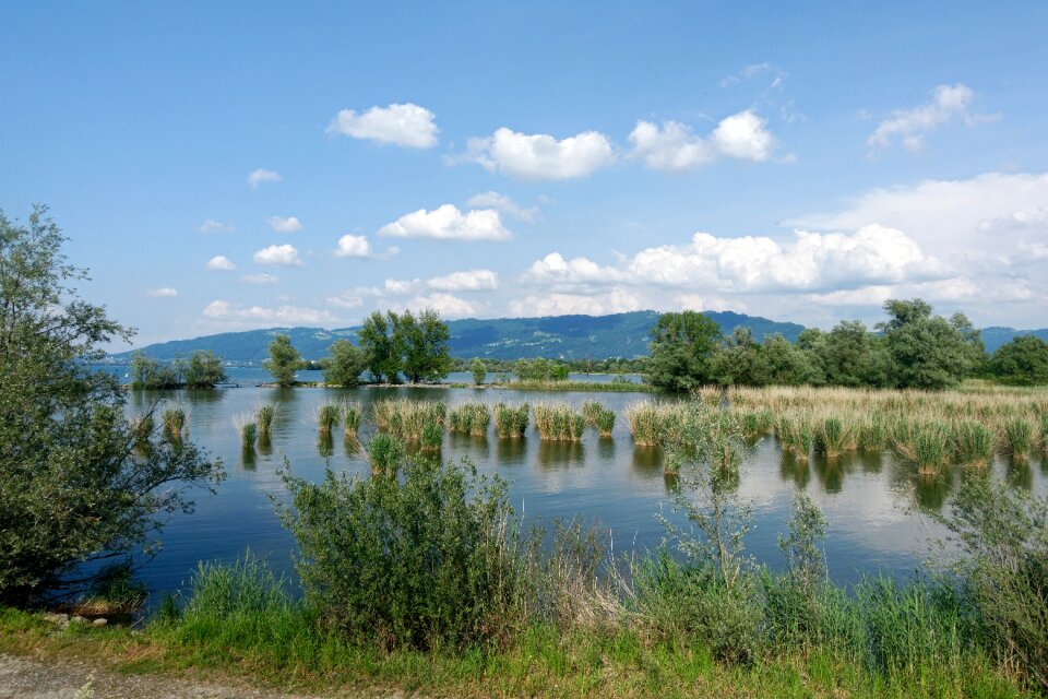 Mirroring the shores of lake constance landscape waters