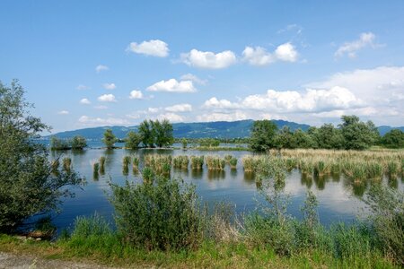 Mirroring the shores of lake constance landscape waters photo