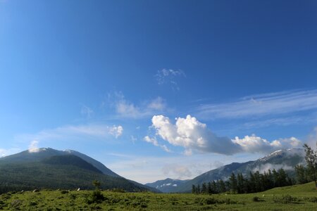 Prairie the scenery in xinjiang