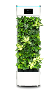 Smart plant purifier air purifier plant