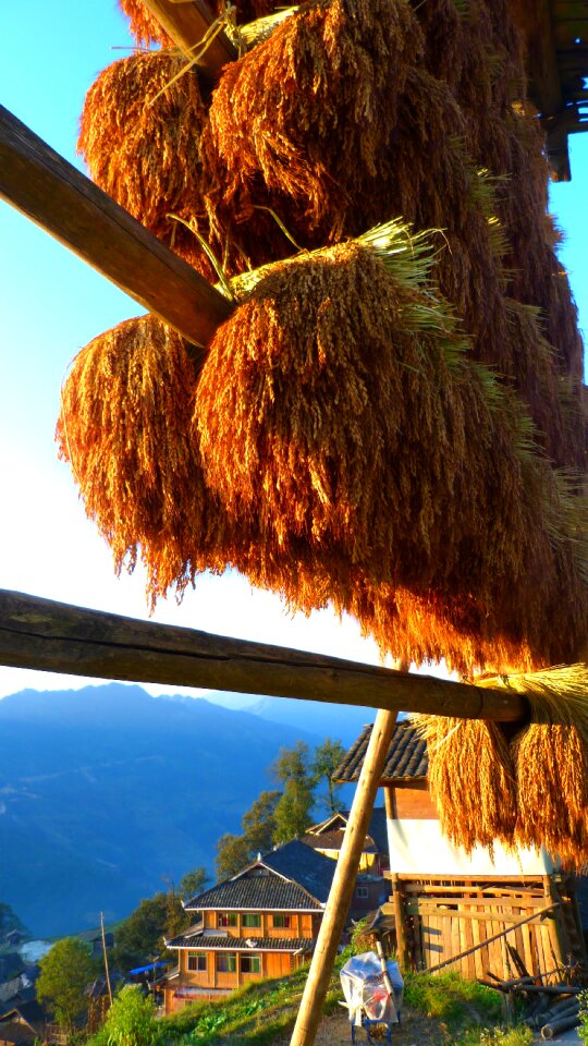 Countryside village farming
