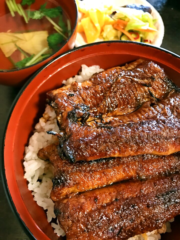 Eel rice bowl your bowl