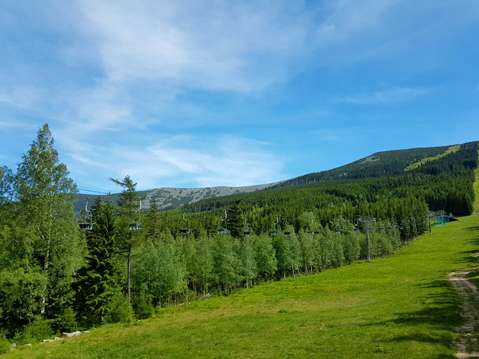 Polish mountains tree mountain