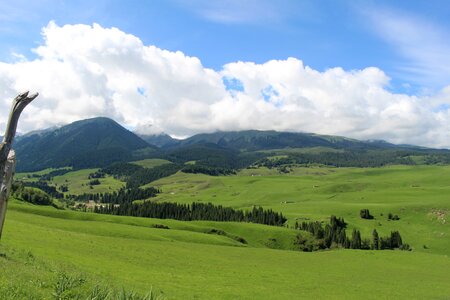 Prairie the scenery in xinjiang