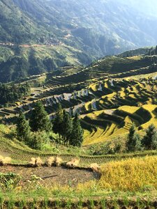 Guizhou rural