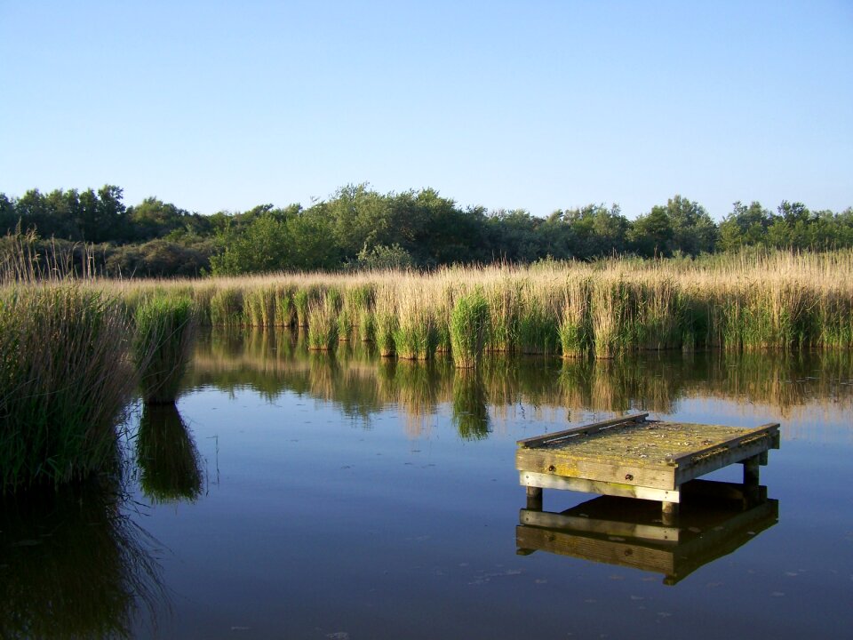 Landscape nature mirroring