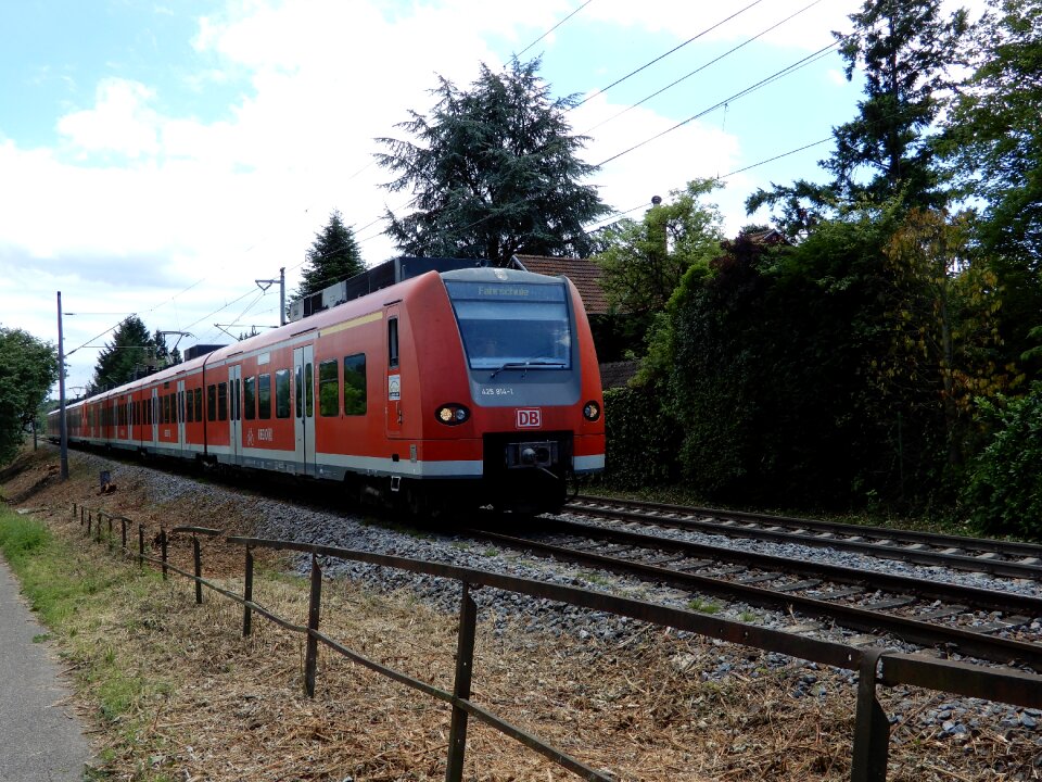 Track green landscape