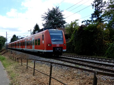 Track green landscape