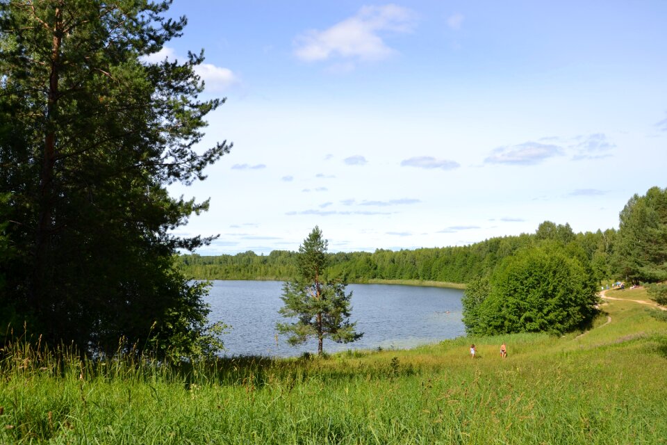 Nature lake forest