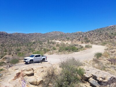 Desert saguaro arizona