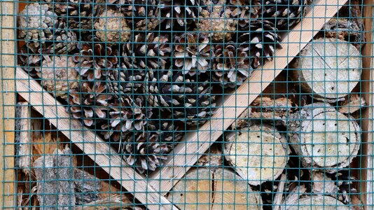 Insect house close up bee hotel photo
