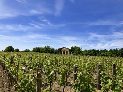 France wine agriculture photo