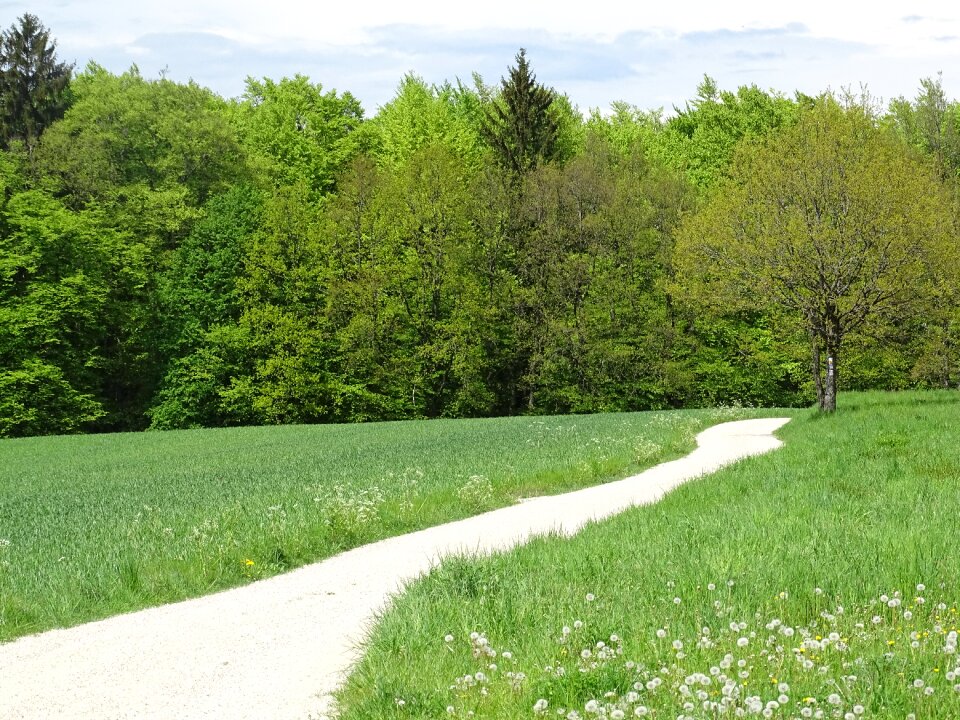 Nature away trail