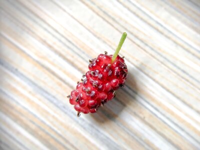 Organic fruit food photo