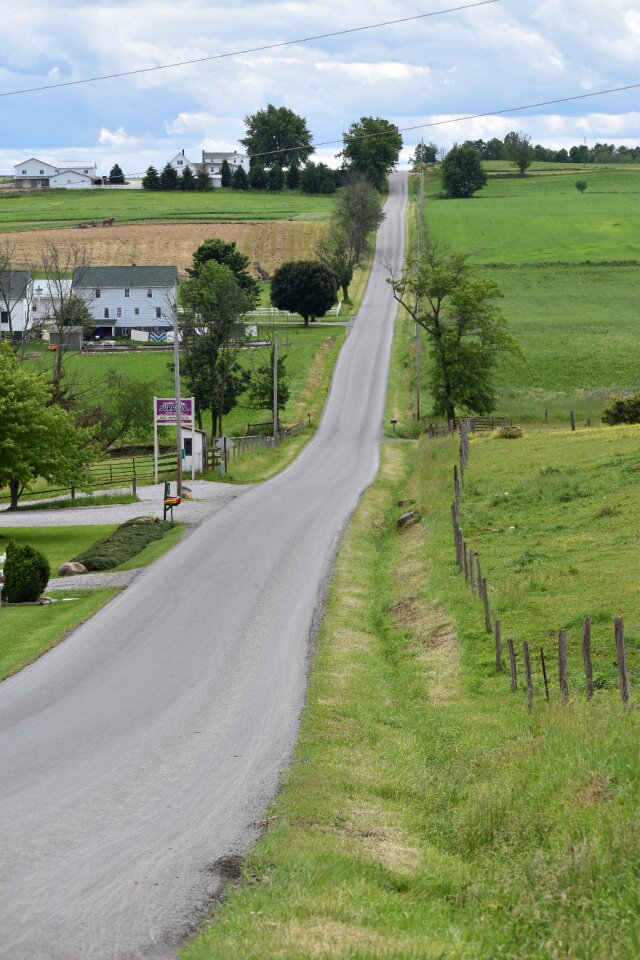 Road green road