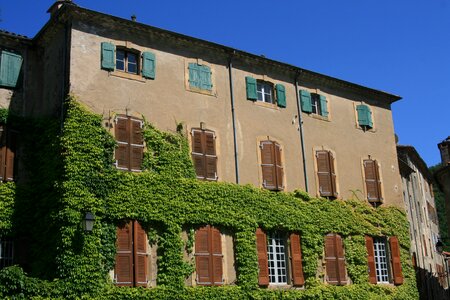 House ivy south of france photo