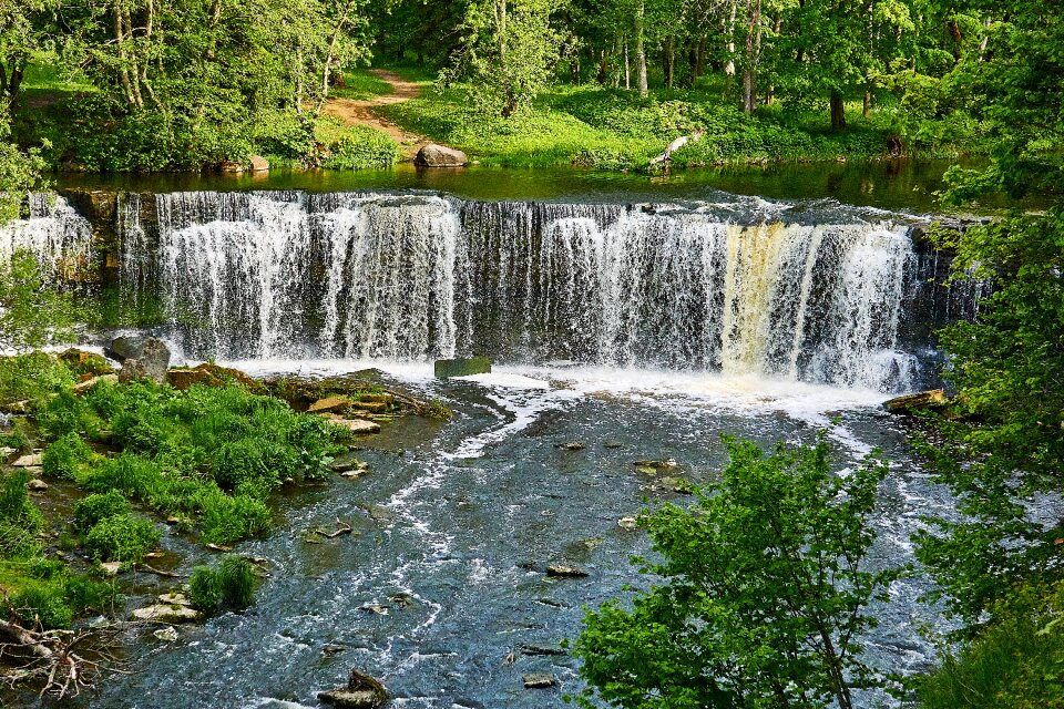 Water small waterfall forest