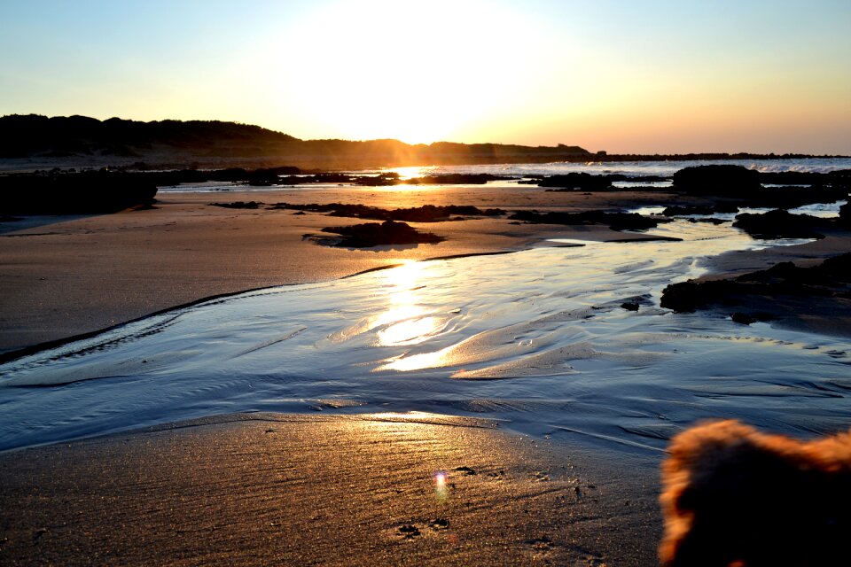 Sea 灣 light water ripples photo