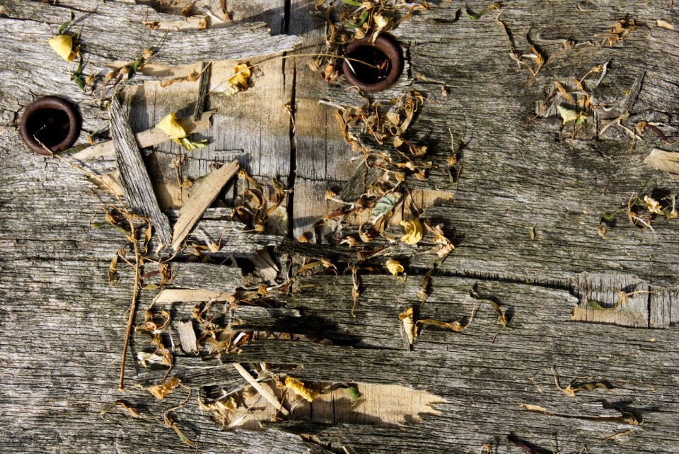 Texture old wood rust