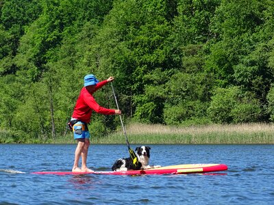 Lake water sports dog photo