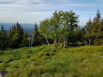 Hiking trails nature mountain trekking photo