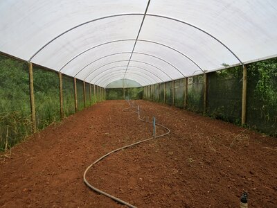 Greenhouse agriculture site