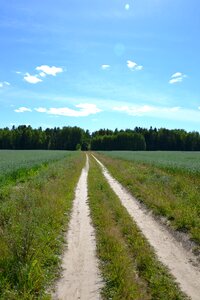 Road nature the way