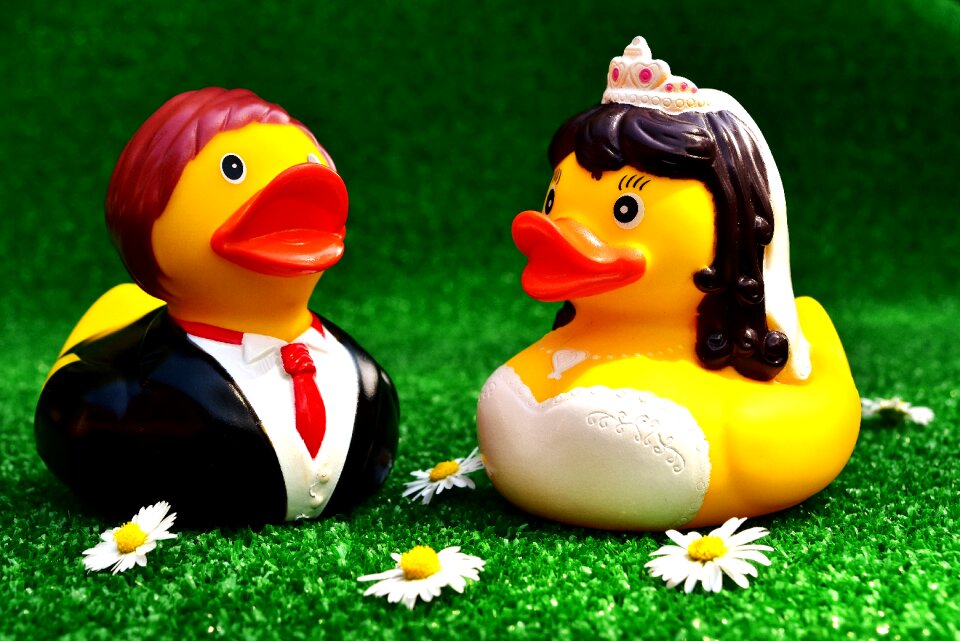 Funny marry marriage