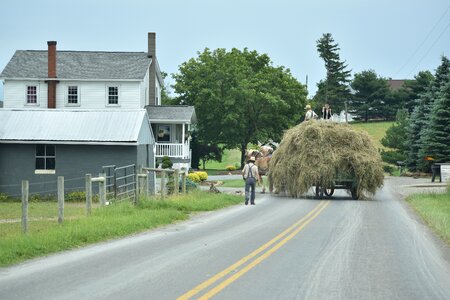 Farming work