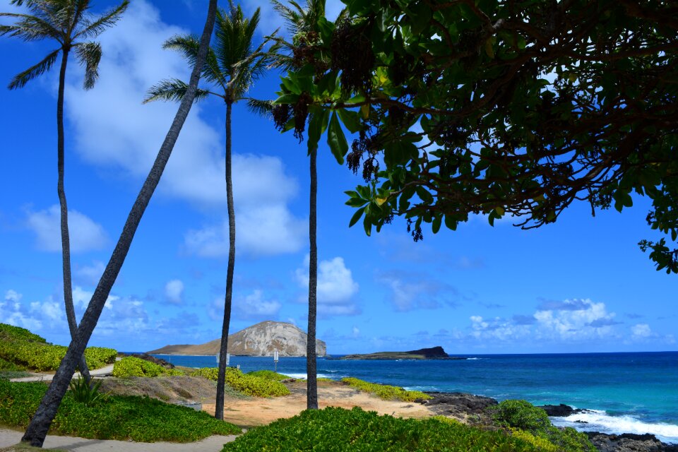 Hawaii paradise photo