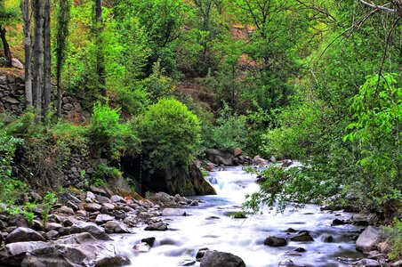 Green open air natur