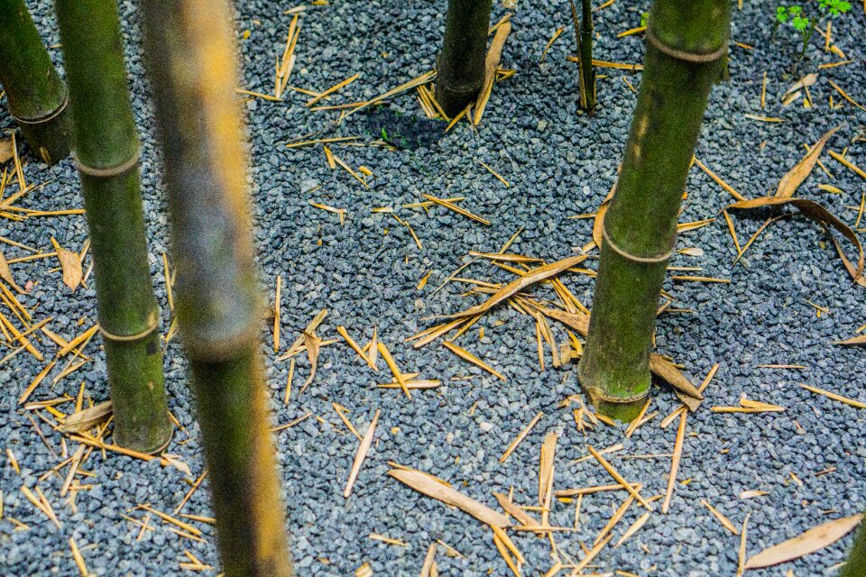 Gravel sand and gravel defoliation