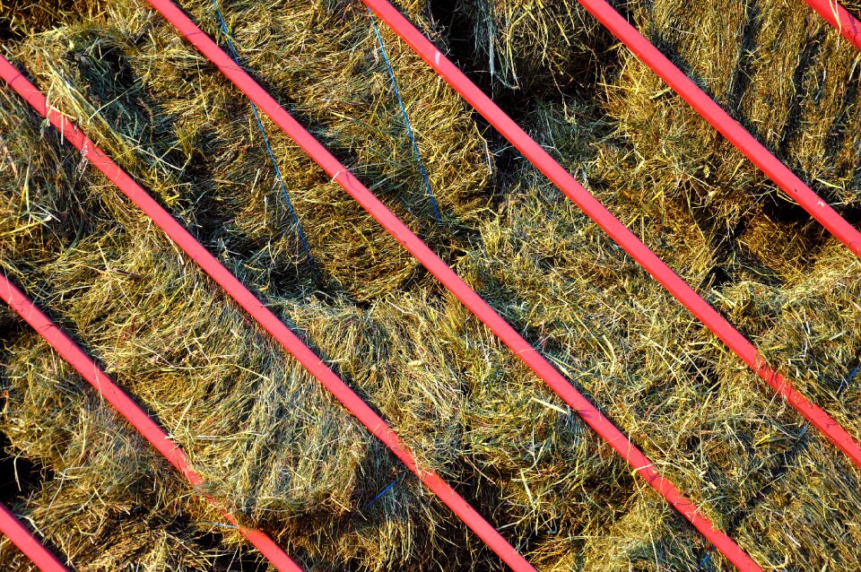 Rural farm straw