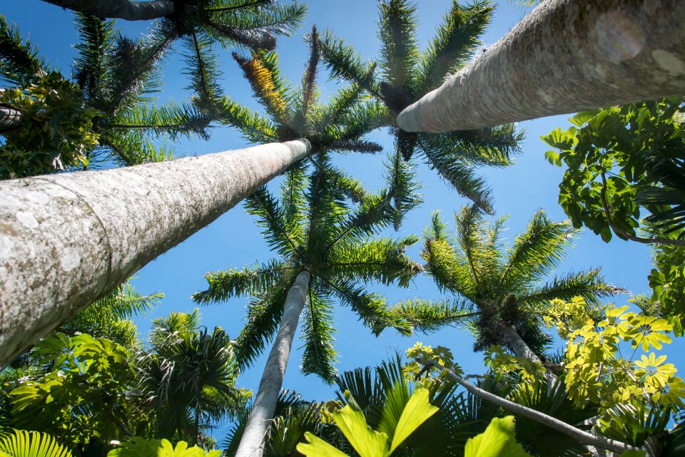 Tropical sunny summer
