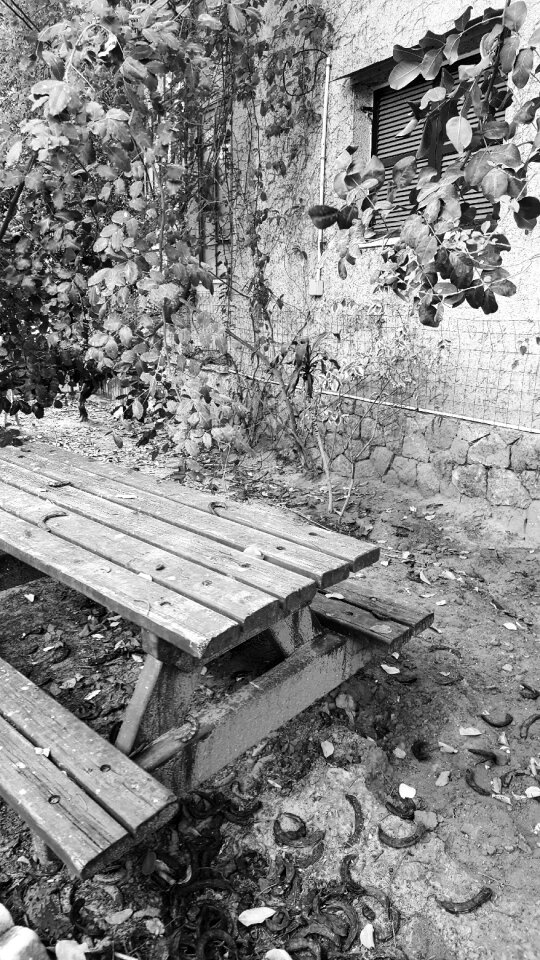 Outdoors style wooden